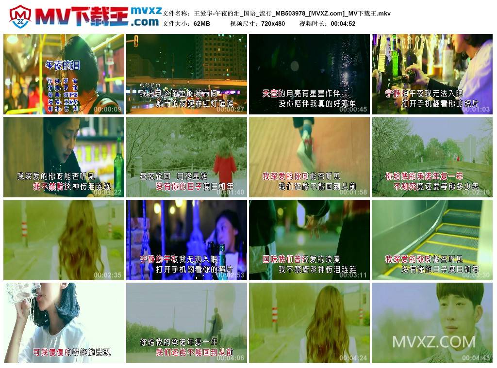 王爱华-午夜的泪_国语_流行_MB503978